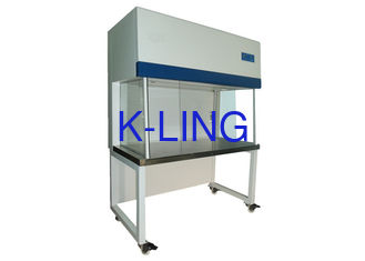 Class 100 Movable Horizontal Laminar Flow Cabinet For Biological Pharmacy Clean Room