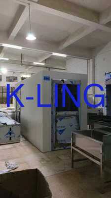 Customizable Size Cleanroom Air Shower Tunnel with High-Velocity Airflow (20-25m/s) for Multi-Person Capacity (50+ Workers)